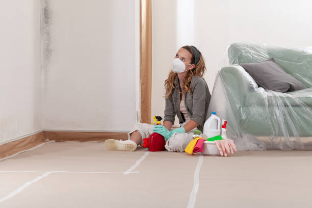 Reliable Mold Inspection And Testing contractor in Oak Ridge, NC by 24 Hour Mold Removal