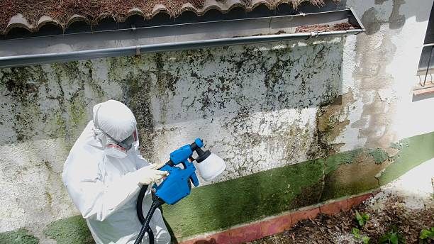 Top rated local Mold Inspection And Testing specialists in Oak Ridge, NC